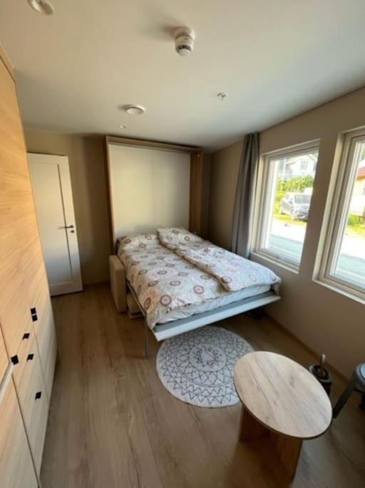 Studio Leiligheit Sogndal Zewnętrze zdjęcie